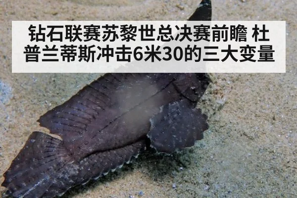 钻石联赛苏黎世总决赛前瞻 杜普兰蒂斯冲击6米30的三大变量